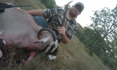 Oak Creek Ranch Gemsbok Hunt Mutated Horn Glry